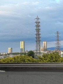 IMG_6901