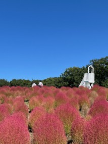 IMG_9173